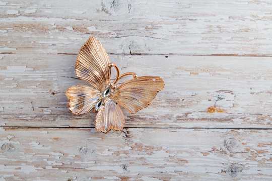 木桌上的衬托蝴蝶图片