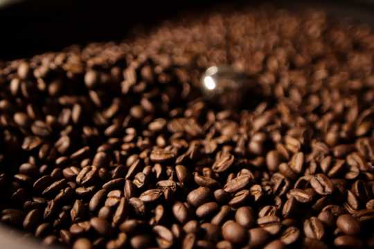 丰满棕色咖啡豆拍摄图片