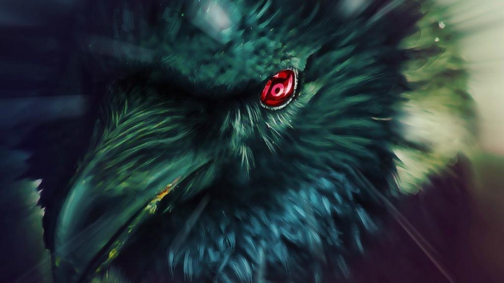 鼬神乌鸦幻术图片